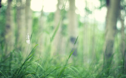 扫墓海报春天四月清明节青团海报背景2高清图片