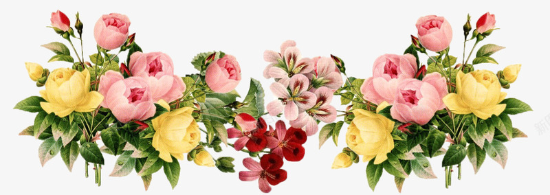 创意手绘合成鲜艳的花卉植物png免抠素材_88icon https://88icon.com 创意 合成 植物 花卉 鲜艳