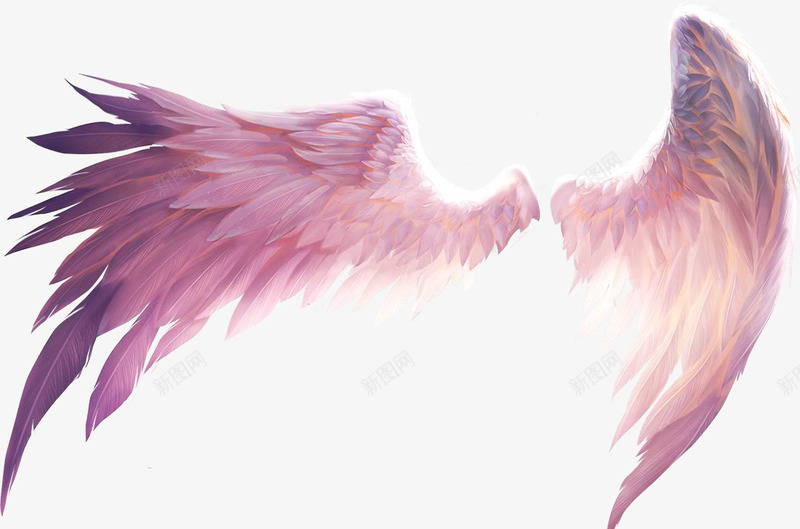 漂亮的翅膀png免抠素材_88icon https://88icon.com png素材 两个翅膀 紫色翅膀 羽毛 翅膀