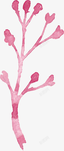水彩手绘粉色一株花素材
