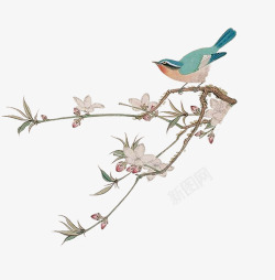 花鸟树枝中国风典雅手绘树枝花鸟高清图片