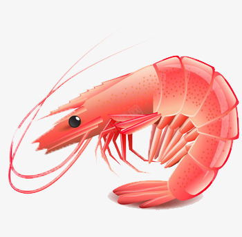 红色小龙虾png免抠素材_88icon https://88icon.com 卡通 海鲜 红色 食物 龙虾