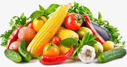 蔬菜玉米人物有机蔬菜黄瓜玉米大蒜养生食品菜高清图片