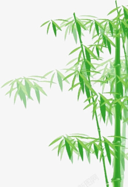 绿色翠竹竹子高清图片