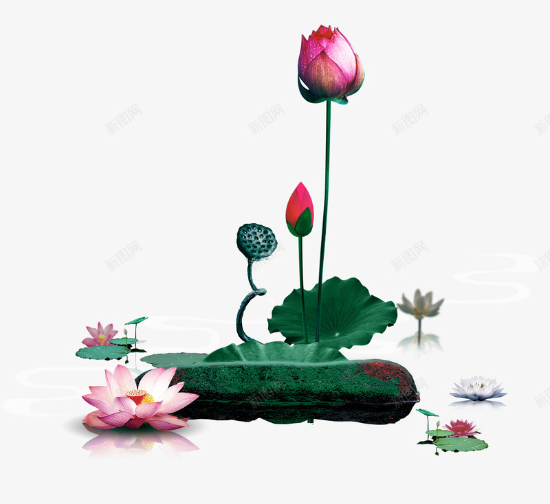 高雅水墨荷花psd免抠素材_88icon https://88icon.com 中国风 古典 古风 水墨 竹子荷花荷叶满池塘 荷叶 荷花 莲花 莲蓬 高雅 高雅水墨荷花