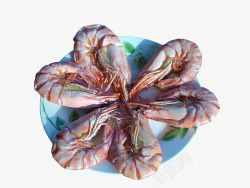 海水产品咸味明虾干高清图片