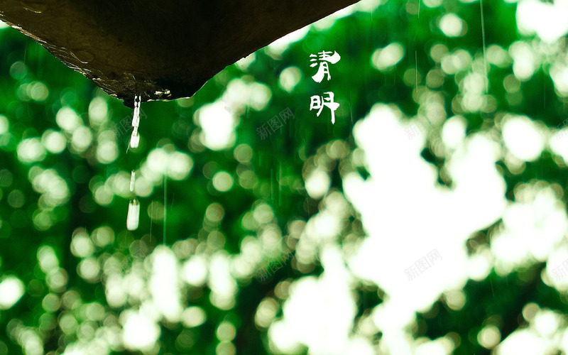 春天四月清明节青团海报背景28psd设计背景_88icon https://88icon.com 四月 四月图 春天 海报 清明节 清明节快乐 背景 青团