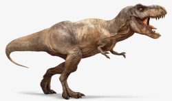 灭绝生物恐龙霸王龙高清图片