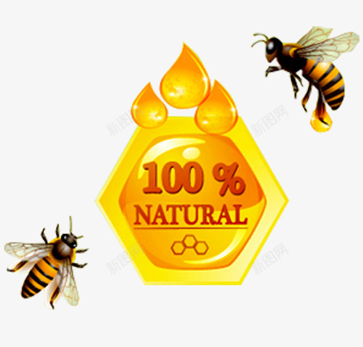 天然蜂蜜png免抠素材_88icon https://88icon.com 天然蜂蜜 搅蜜棒 槐花蜜 洋槐蜂蜜 洋槐蜜 淘宝天猫 美味 蜂巢 蜂蜜 蜂蜡 蜜蜂 西餐美食 野蜂蜜 食品 餐饮美食