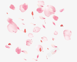 粉红色散落的花瓣图素材