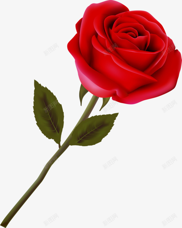 一朵红玫瑰png免抠素材_88icon https://88icon.com 情人节礼物 情侣礼物 玫瑰 玫瑰红色 红色 花朵 花瓣