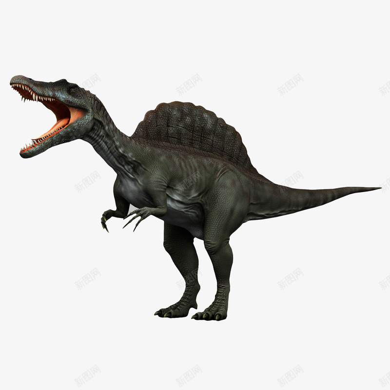 咆哮恐龙3Dpng免抠素材_88icon https://88icon.com 动物 恐龙 肉食动物 长脖子恐龙