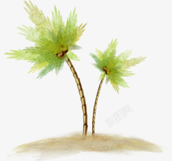 沙滩槟榔树素材