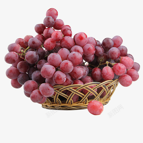 葡萄png免抠素材_88icon https://88icon.com 吐鲁番葡萄 提子 摘葡萄 新鲜葡萄 有机葡萄 水果 生态葡萄 葡萄 葡萄上市 葡萄农业 葡萄园 葡萄庄园 葡萄批发 葡萄红酒 葡萄节 葡萄节开幕 葡萄采摘 葡萄采摘园 葡萄采摘节 进口葡萄 采摘葡萄
