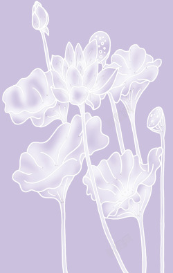 单色复杂花纹图案彩印花边A86高清图片