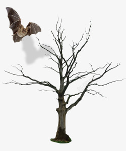 干枯的树和蝙蝠素材