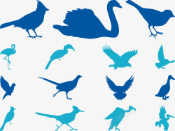 蓝色鸟类剪影矢量图素材