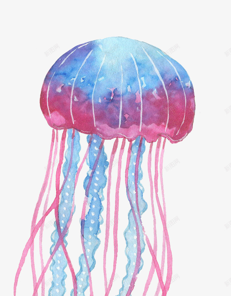 蓝粉色水母png免抠素材_88icon https://88icon.com 元素 卡通动物 可爱卡通 彩色水母 服装图案 海底生物 海洋生物 生活元素 红色水母 蓝粉色 面料图库 鱼