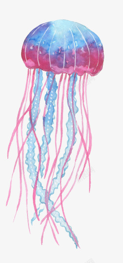 海底生物图片蓝粉色水母高清图片
