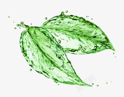 水珠和绿叶一片水晶透明的叶子高清图片