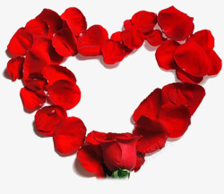 大红色玫瑰花爱心边框素材