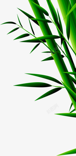 绿色竹叶竹子端午节素材
