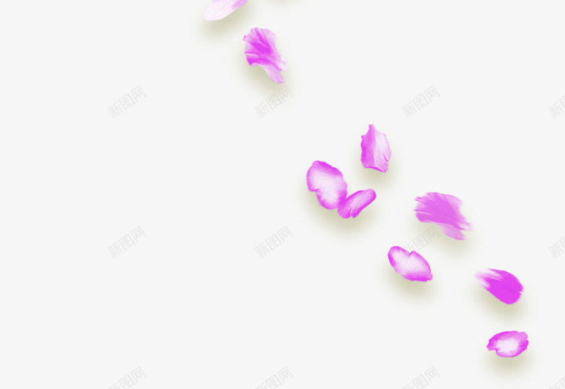 精美紫色花瓣psd免抠素材_88icon https://88icon.com 一堆花瓣 免抠 免抠图 精美 紫色 花 花朵 花瓣 鲜花