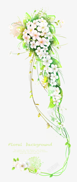 素色白花小花与花藤装饰高清图片