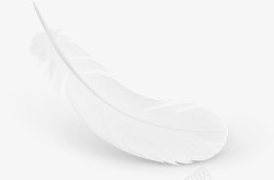 纯白色飘落羽毛飘落的羽毛高清图片