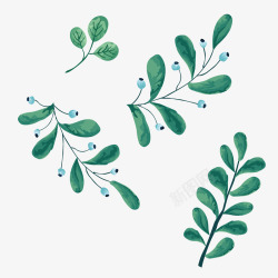 绿色水彩手绘植物叶脉装饰素材