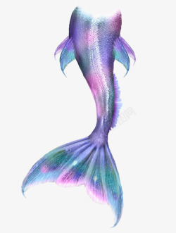 紫色的美人鱼美人鱼尾巴高清图片