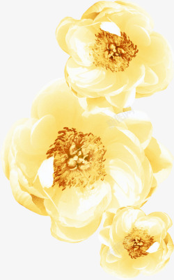 浅黄色花朵黄花素材
