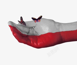 创意波兰国旗手绘蝴蝶图案素材