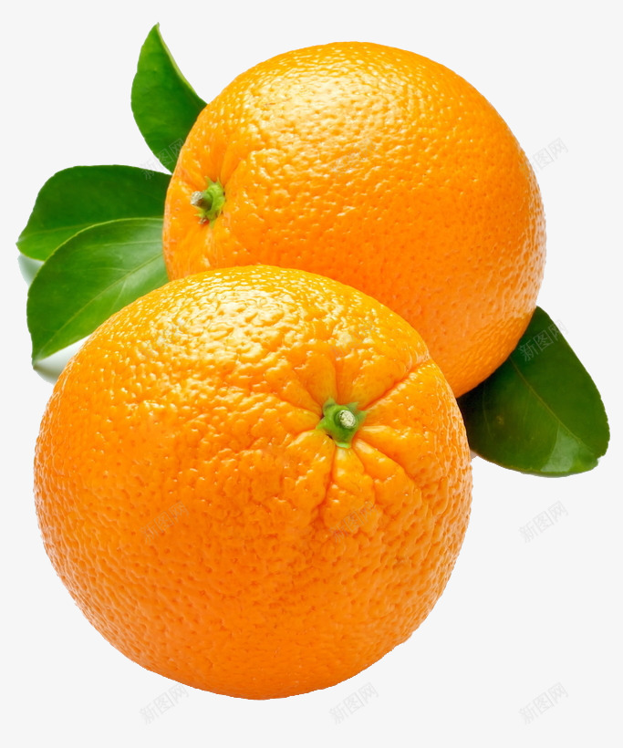 两个橙子png免抠素材_88icon https://88icon.com 一筐橘子 两个橙子 叶子 多汁 实物 新年橘子 新鲜 新鲜水果 果子 果实 桔子 橘子 橘子皮 橙色 热带水果 绿叶