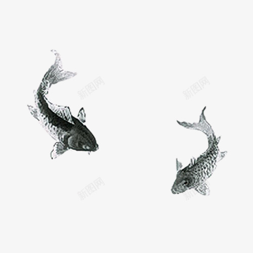 水墨鱼png免抠素材_88icon https://88icon.com 中国风 书法 优雅 传统 古代化 古典 古典图片 古逸 古风 国画 国画源文件 墨水 墨水画 墨点 墨迹 复古 山水 手绘 晕染 毛笔 水墨 画 装饰 雅致 风景 鱼 鱼元素 黑色