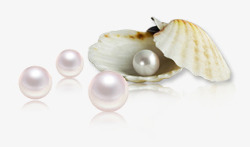 珍珠贝珍珠贝壳四个珍珠高清图片