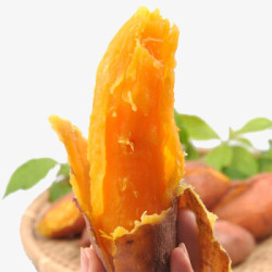 山芋美味红薯高清图片