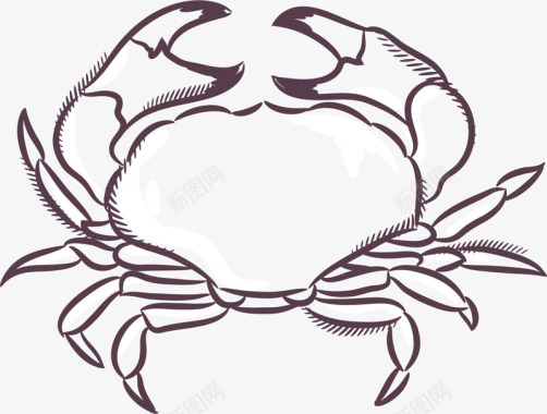 海鲜水产螃蟹矢量图素描白色螃蟹图标图标