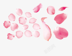 红色花儿花瓣组合高清图片