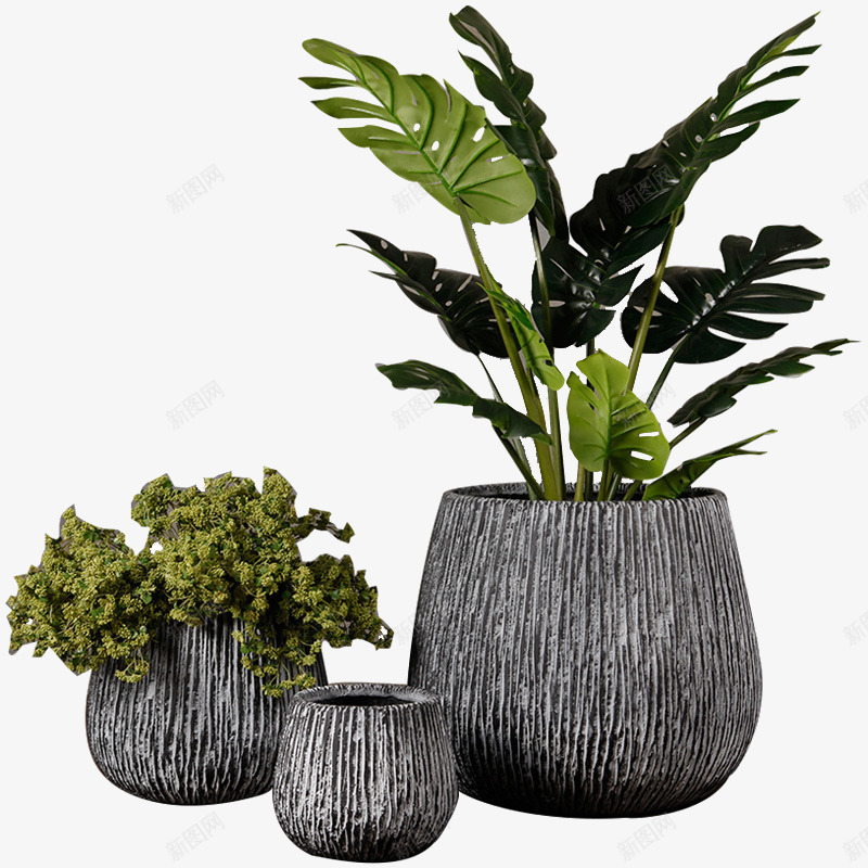 绿色小清新植物盆栽png免抠素材_88icon https://88icon.com 叶子 小清新 植物 植物盆栽 盆栽 绿植 花盆