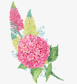 水彩粉色花球简图素材