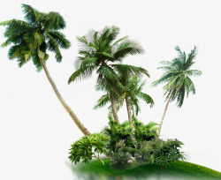 海岛风景海岛椰树风景高清图片