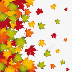 一堆叶子秋季凋零的树叶高清图片