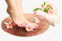 花瓣足浴png免抠素材_88icon https://88icon.com 保健 毛巾 玉足 粉嫩足底 脚 腳掌 腳掌圖案 花朵 足底 足浴