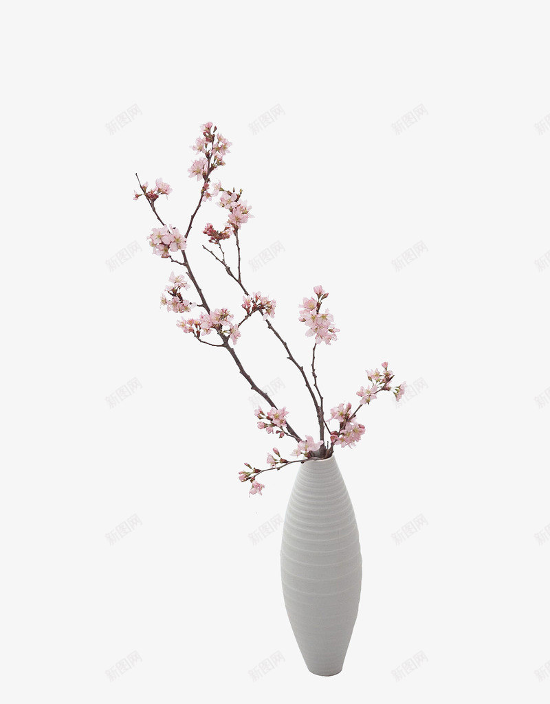 一枝樱花插在花瓶里png免抠素材_88icon https://88icon.com 樱花 白色花瓶 粉色 装饰素材 软装素材