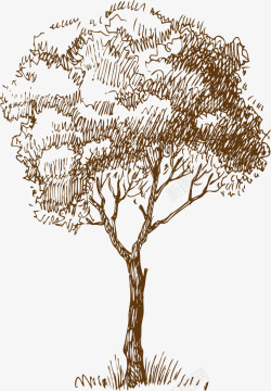 树手绘素描素材