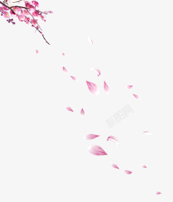 夏季的乐趣飘落的花瓣高清图片