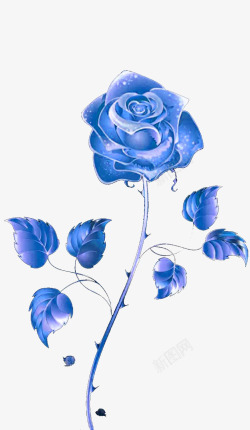 蓝色玫瑰花蓝色的玫瑰花浪漫有你高清图片