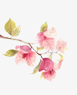 中式花卉水彩手绘唯美花叶图案高清图片