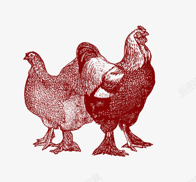 背对背的鸡png免抠素材_88icon https://88icon.com 创意 背对背 鸡 鸡年